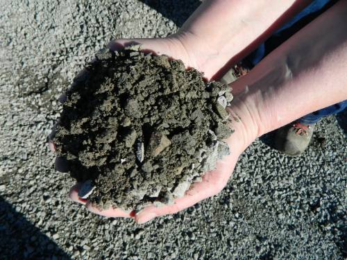 5/8" Minus – Black