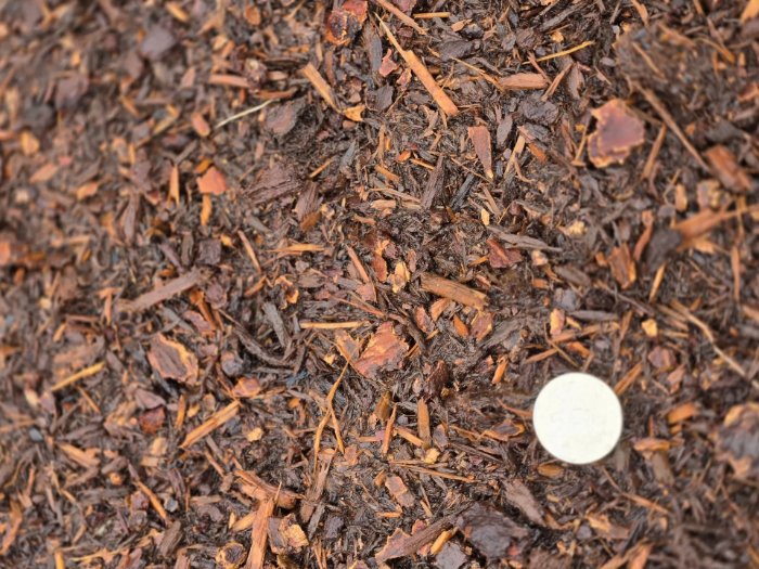 Fine Red Bark