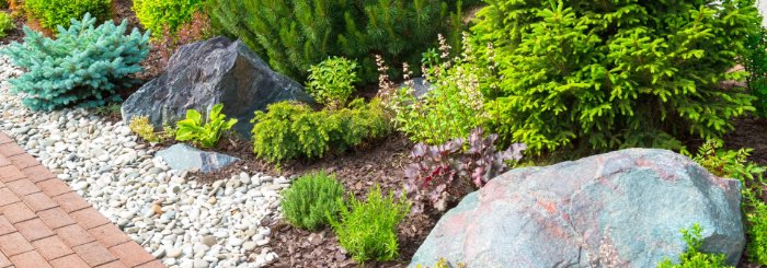 Peninsula Forest Mulch