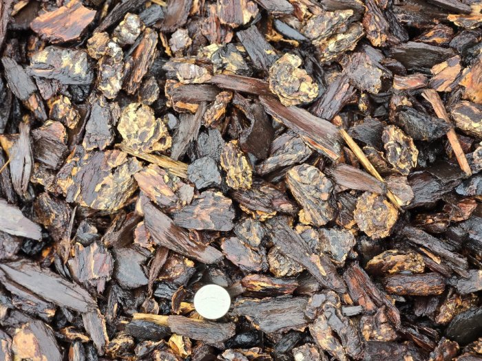 Small Nugget Bark