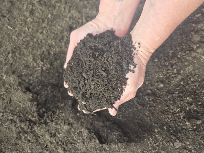 House Blend Potting Soil